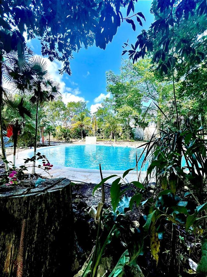 Hotel Tequila Cancun Alfredo V. Bonfil Exterior photo