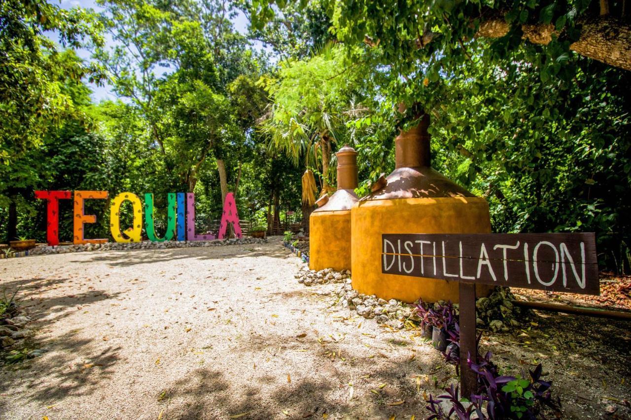 Hotel Tequila Cancun Alfredo V. Bonfil Exterior photo